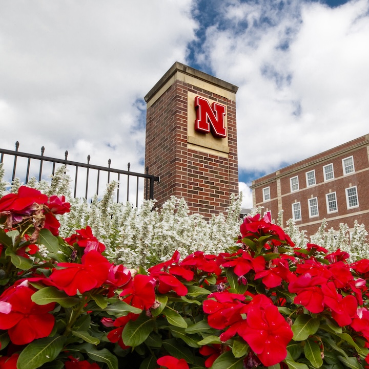Red flowers highlight this view of the gateway with the red N logo, outside the Nebraska Union.