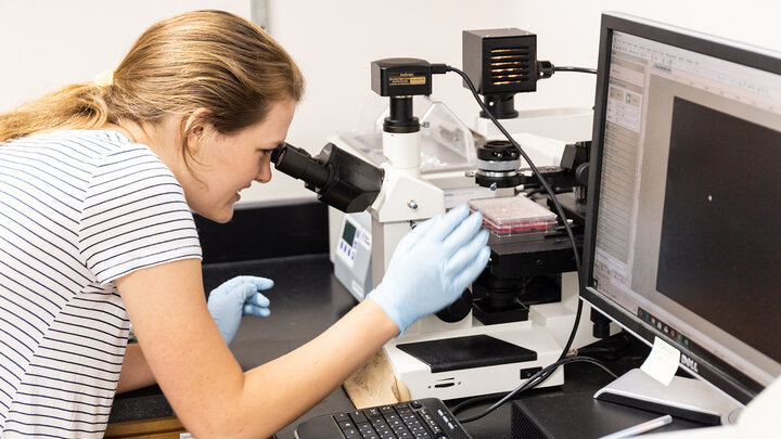 Students gain hands on learning through undergraduate research.