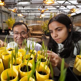 A student and faculty member check the growth of their plant specimens.