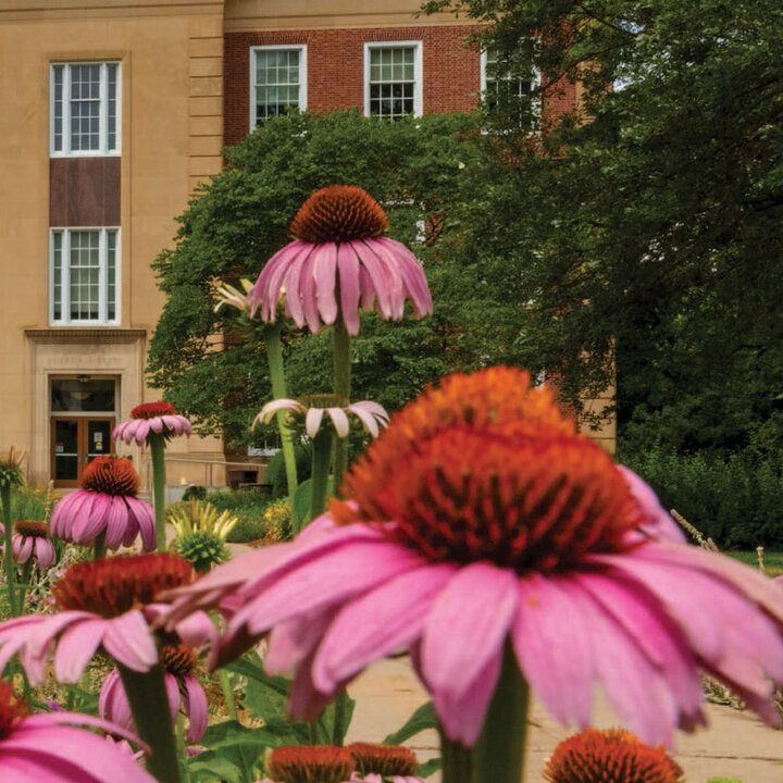 building and flowers